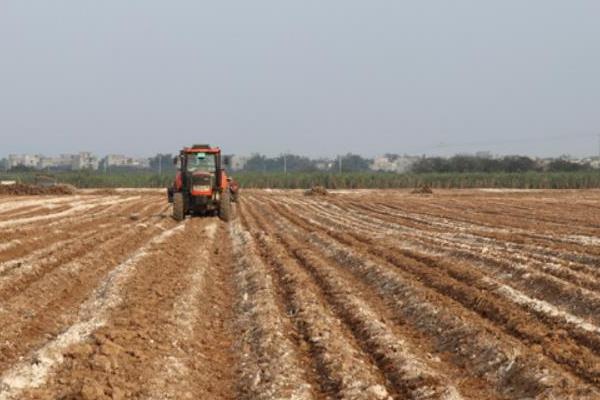 甘蔗的种植方法，生长旺季为其追施氮肥、钾肥和磷肥混合肥料