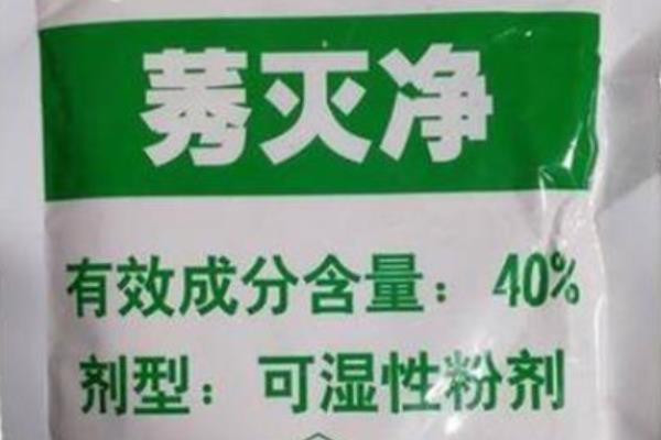 莠灭净除草剂的用途，用于防治玉米、甘蔗田的马唐、狗尾草等