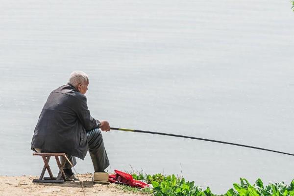 怎么钓银鲴鱼，在4-5月份垂钓效果好