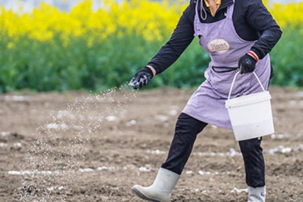 怎么在黏土地里面施肥，推荐施加热性肥料