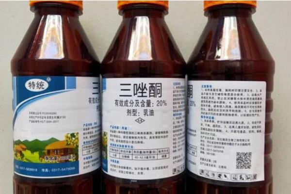 三唑酮的作用，可防治玉米圆斑病、麦类云纹病等