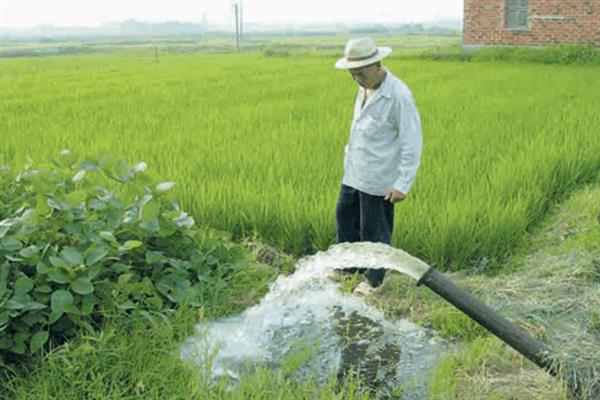 水稻田什么时候排水，收获前7-12天排水较好