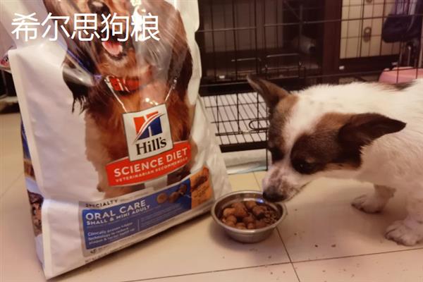 中型犬适合吃什么狗粮，推荐冠能、皇家等