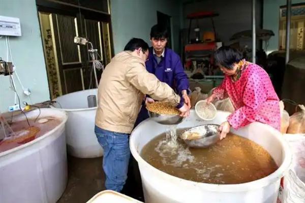 农药浸种要注意什么，确保药物能够溶于水