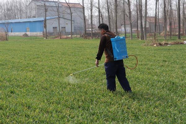 打完除草剂几天打营养药，需要间隔15天左右