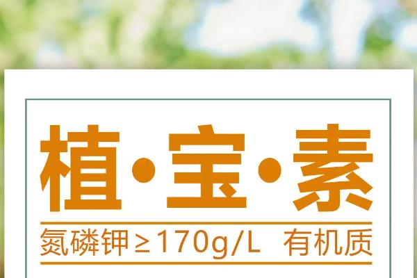 种植红菜苔要施什么肥，可施土杂肥、蔬菜专用肥等