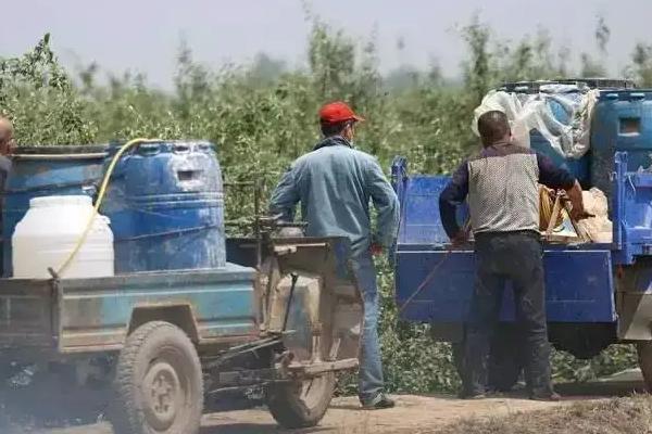 农药怎么混用，农药混配顺序要准确