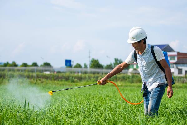 克菌丹和代森锰锌哪个效果更好，克菌丹要比代森锰锌好一些