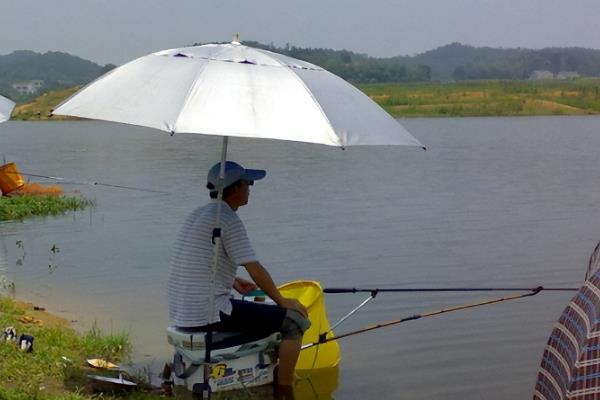 初夏钓鲫鱼是钓深水还是浅水，大部分情况都应该钓浅