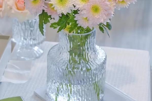 小雏菊如何插花,要先对植株的花枝进行修剪